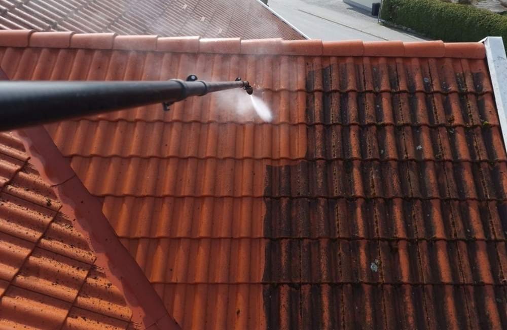 Roof Cleaning Services